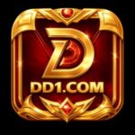 DD1 Game